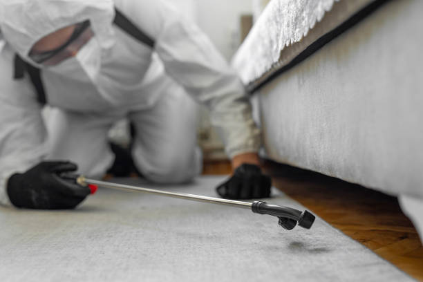 Professional Bed Bug Control technician working in Westfield, IN